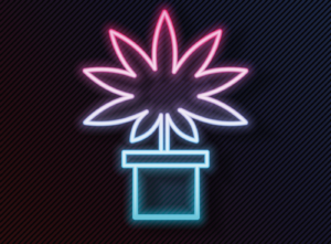 Symbol of a cannabis plant
