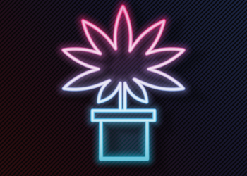 Symbol einer Cannabis Pflanze